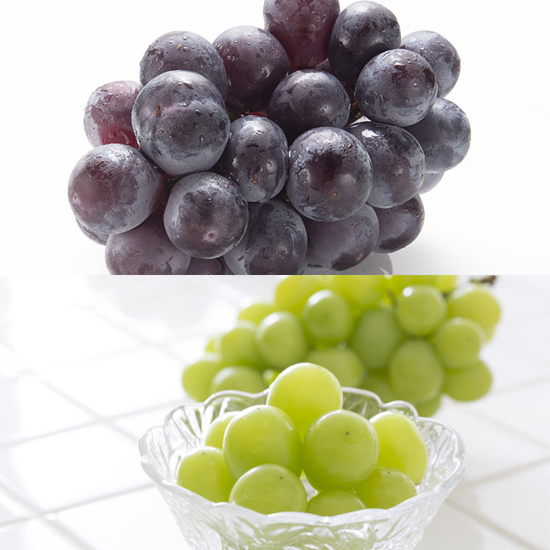 【定期便6回】至高の味わい便 極み 【令和8年産先行予約】F