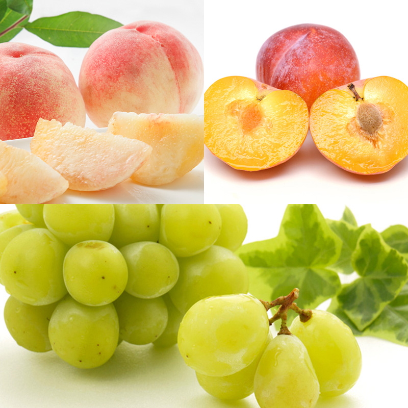 【定期便6回】季節のフルーツ幸せ便8種 【令和7年産先行予