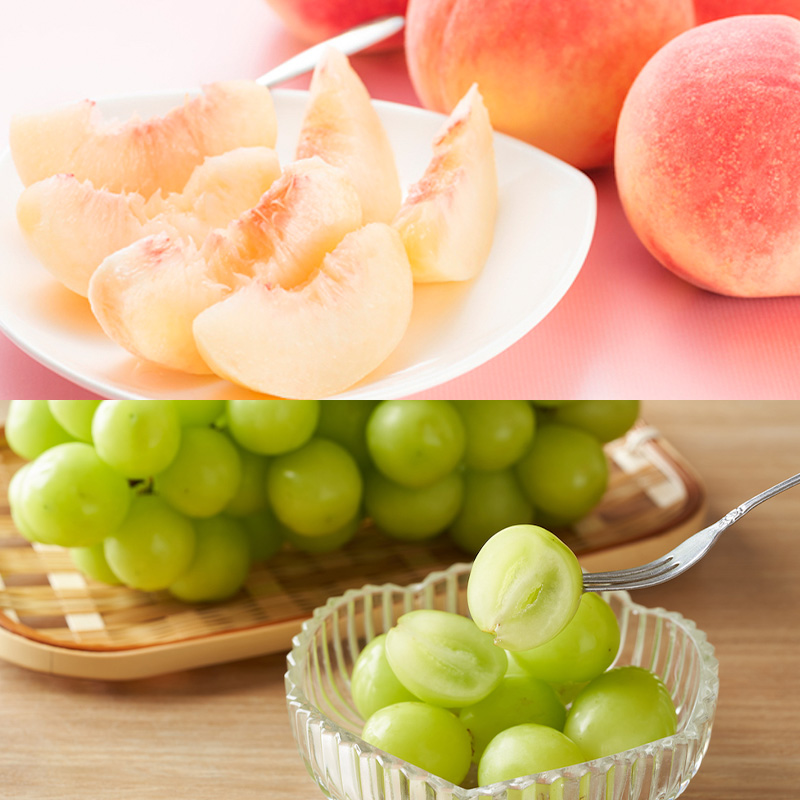 【定期便6回】ノノハナフルーツ さくらんぼからりんごまで