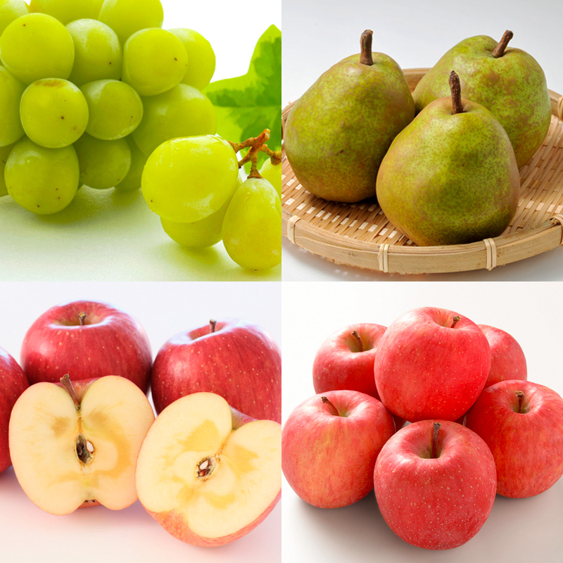 【定期便8回】山形の恵！ふるさと満喫定期便 【令和7年産