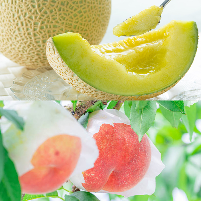 【定期便8回】ノノハナフルーツ やまがた旬暦定期便 【令