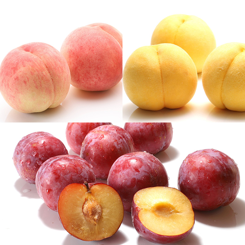 【定期便8回】人気フルーツ満喫便 【令和8年産先行予約】FS