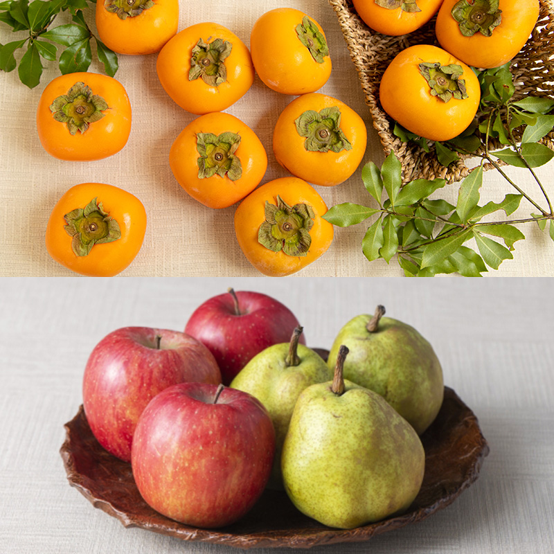 【定期便4回】ほっこり秋冬フルーツ５種便【令和8年産先行