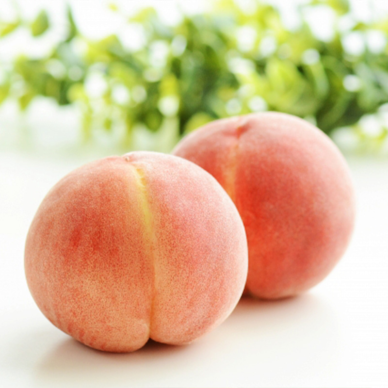 【定期便3回】山形旬果 3種 らんまん【令和8年産先行予約】