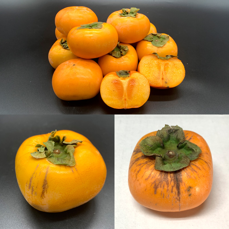 【定期便3回】★訳あり★秋の果実祭り定期便 色や形が訳あ