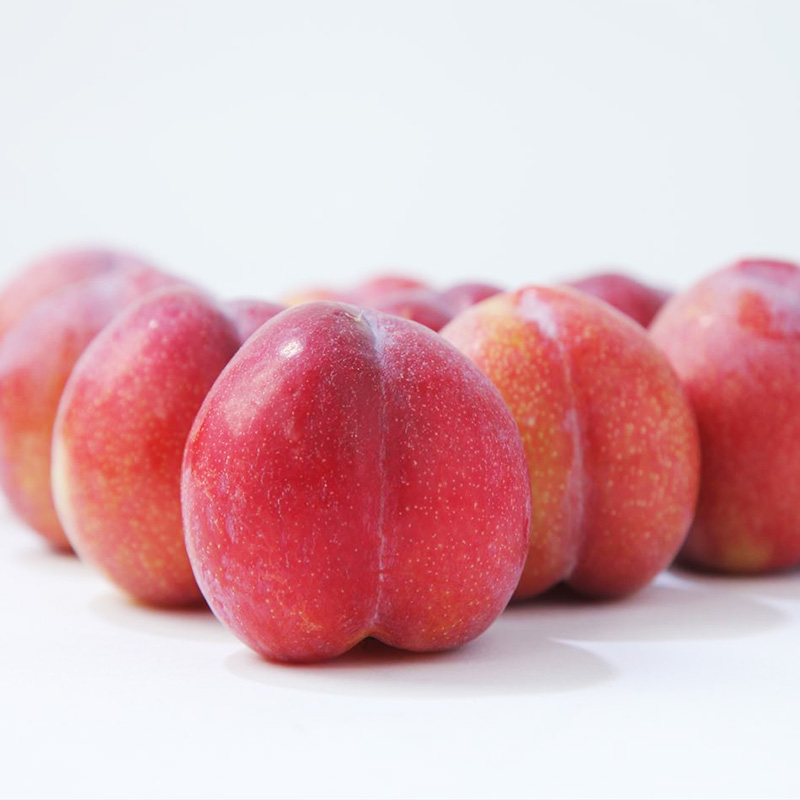 【定期便3回】☆フルーツ王国山形☆白桃・すもも秋姫・り