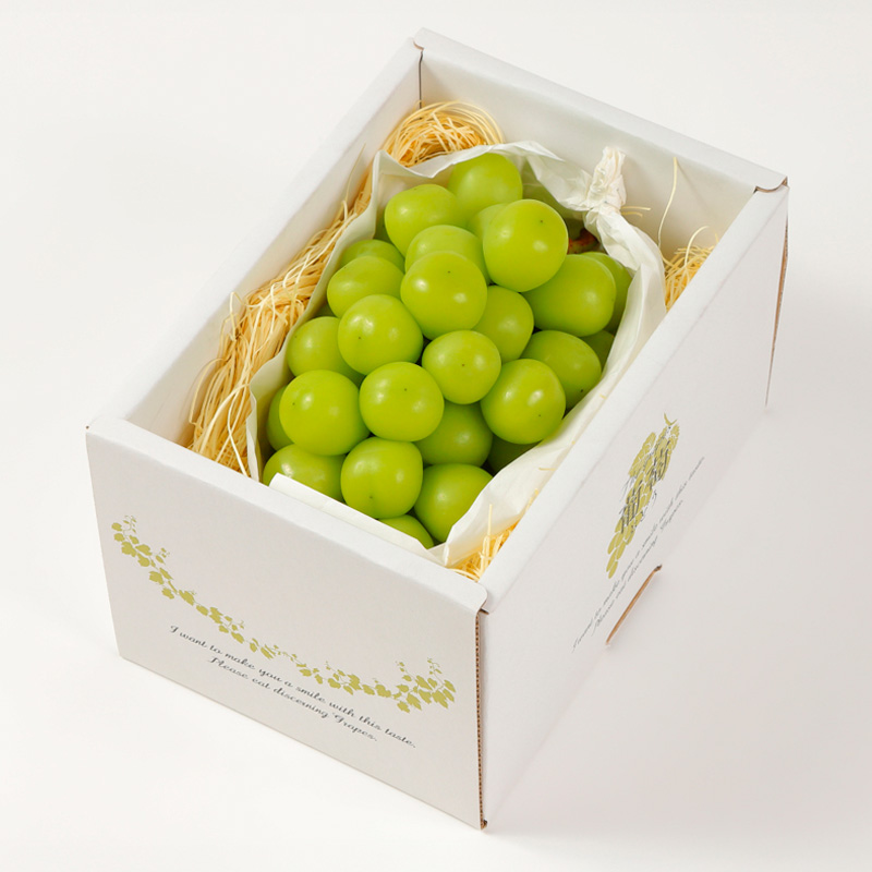 【定期便3回】果物定期便コース(さくらんぼ、シャインマス