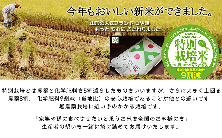 令和6年度産 山形産 「つや姫」5kg (精米) 特別栽培米 8割減