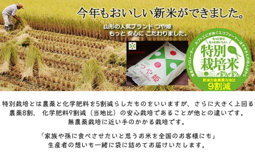 令和6年度産 山形産 「つや姫」5kg (玄米) 特別栽培米 8割減