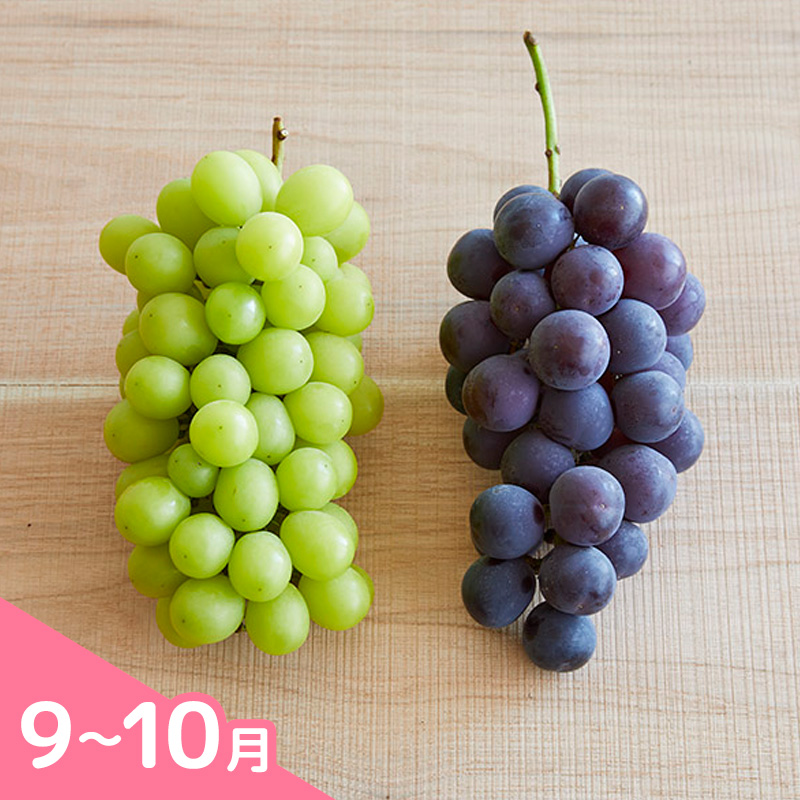 【定期便3回】疲れた身体においしい定期便　～フルーツか