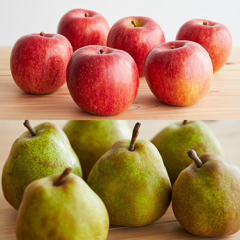 【定期便2回】すっばらしくおいしい！旬のくだものセット 