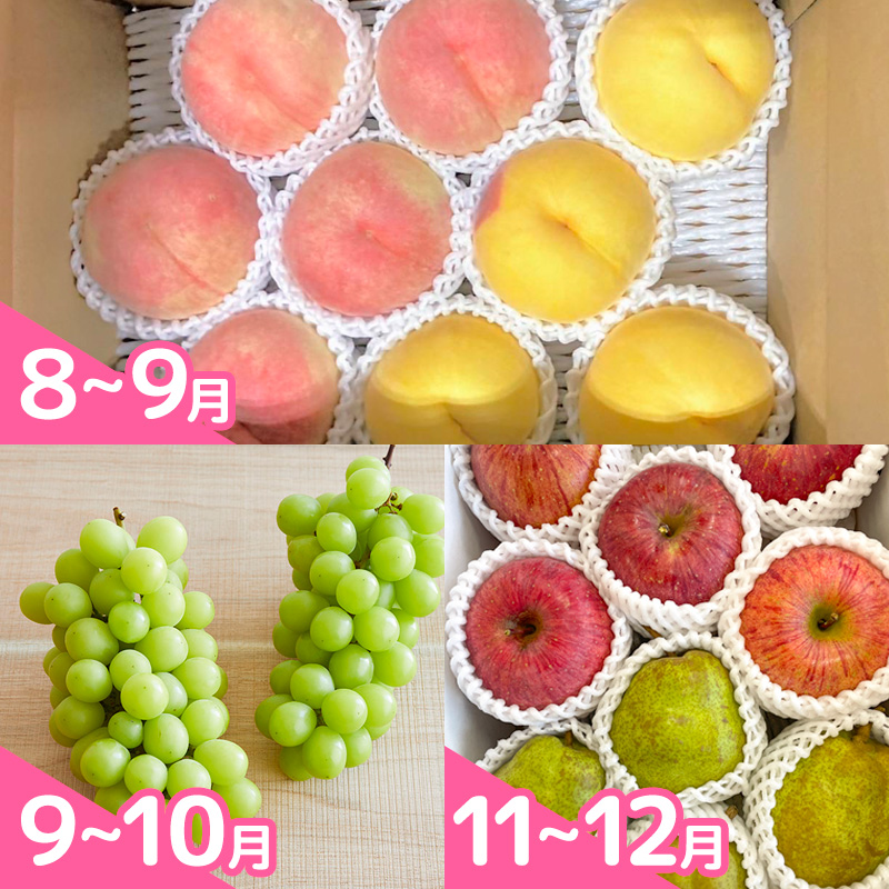 【定期便5回】明治9年にさくらんぼの栽培を開始したやまや