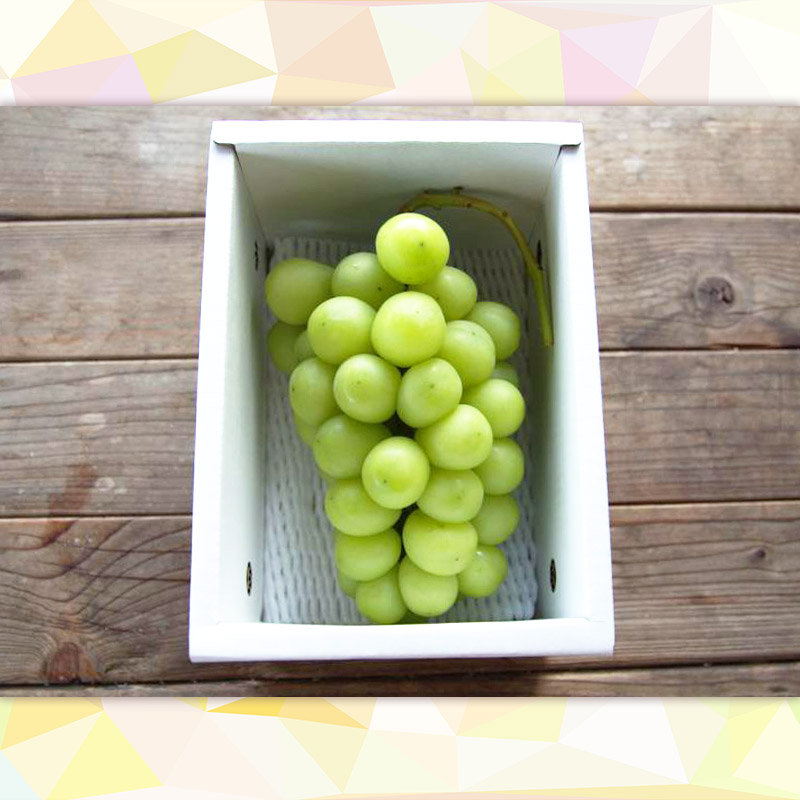 【定期便4回】4種の山形から届く旬のフルーツ定期便 FY25-219