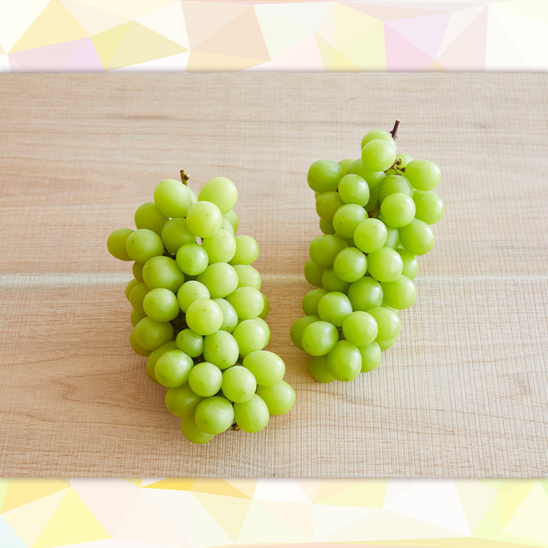 【定期便4回】シャインマスカット好きのあなたへ シャイン