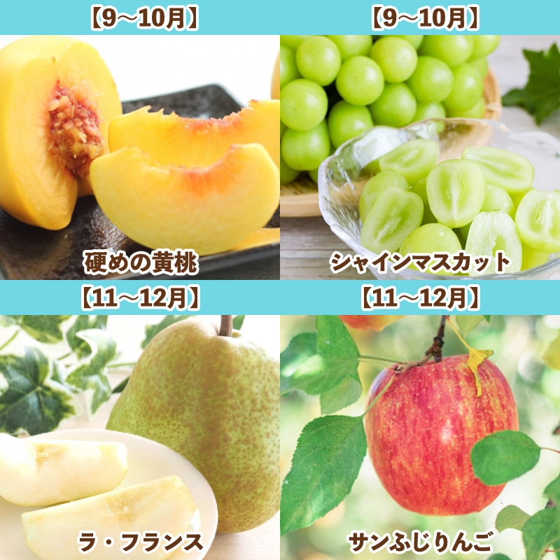 【定期便7回】旬です！YAMAGATA＊FRUIT FY25-285