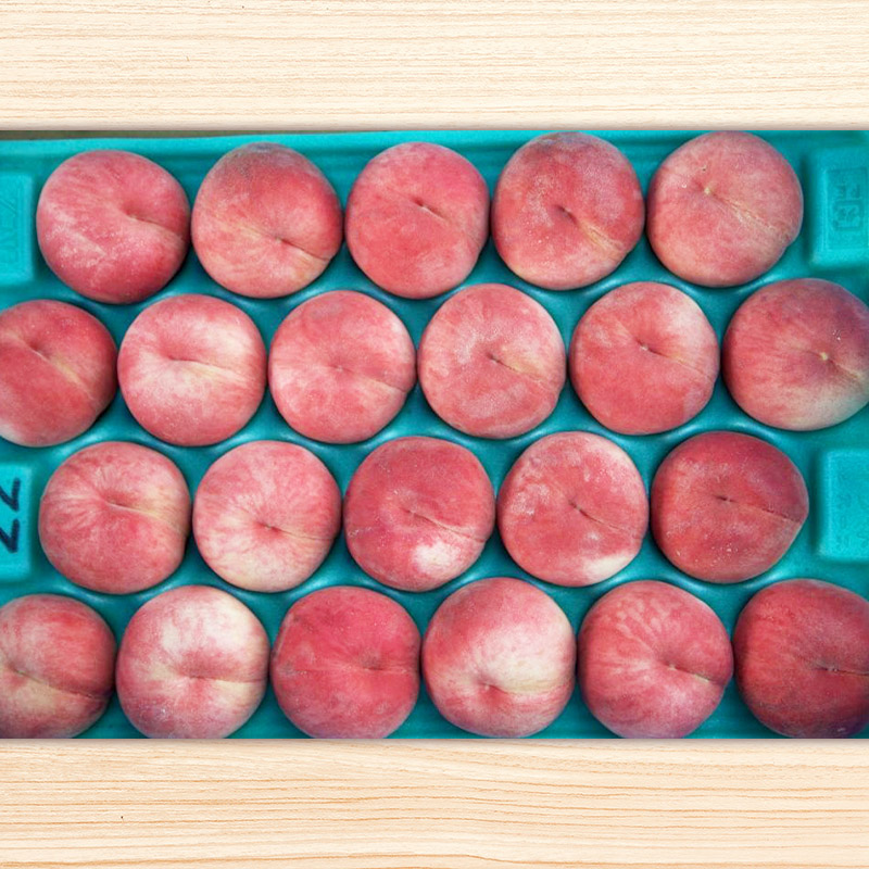 【定期便3回】山形の産直所で人気のベスト3！さくらんぼ・