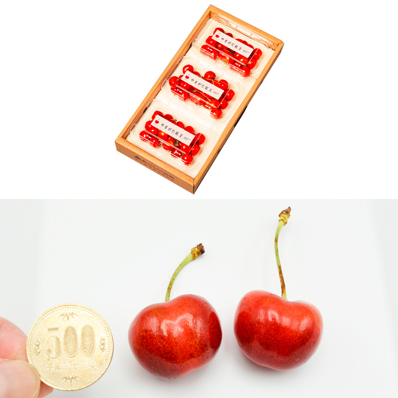 【定期便3回】【さくらんぼ贅沢便B】山形のさくらんぼ 佐