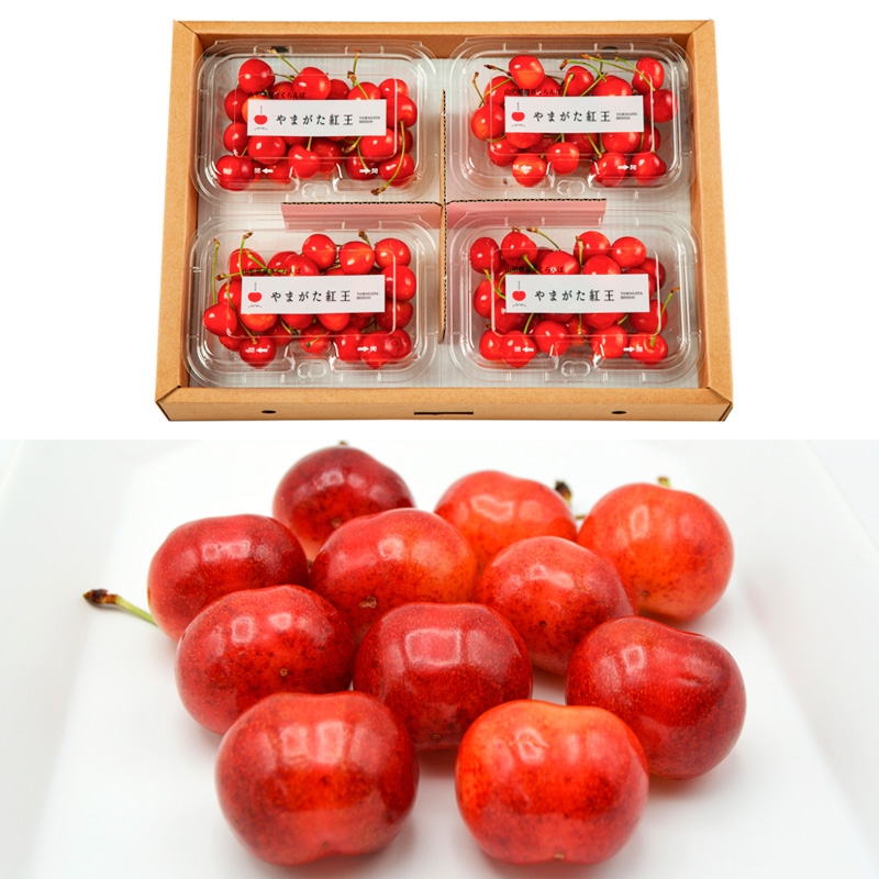 【定期便3回】【さくらんぼ贅沢便A】山形のさくらんぼ 佐