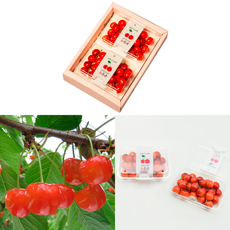 【定期便3回】山形のさくらんぼ 佐藤錦・紅秀峰 各360g×3回[