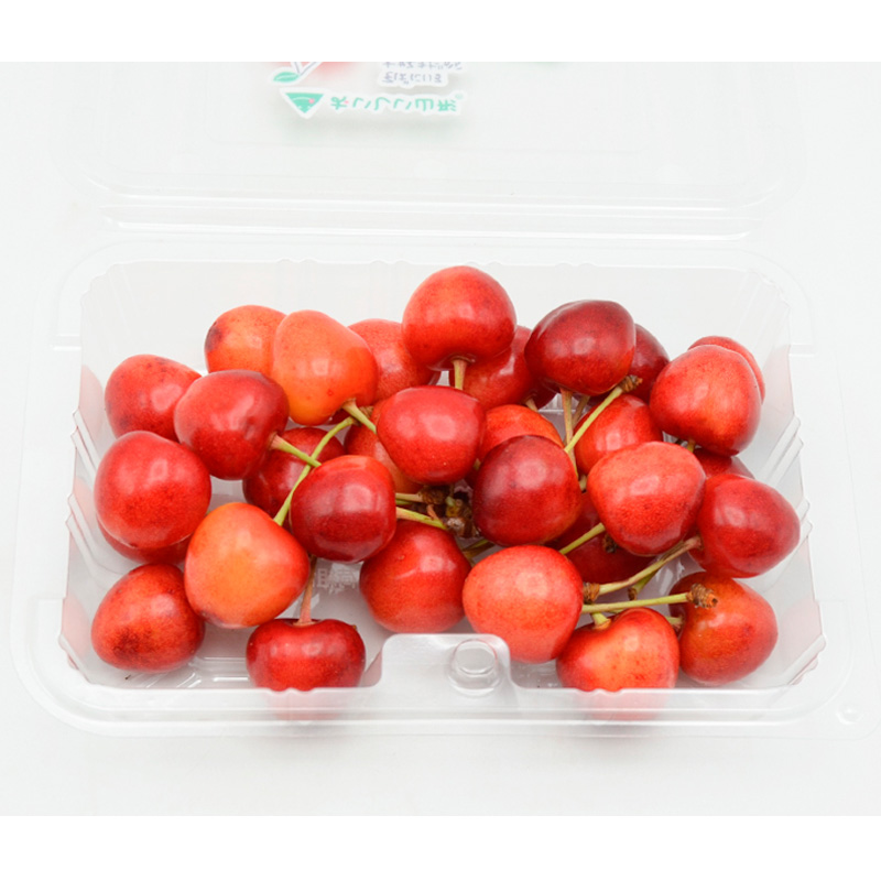 山形のさくらんぼ 大将錦 540g Lサイズ以上 (180g×3パック) 【