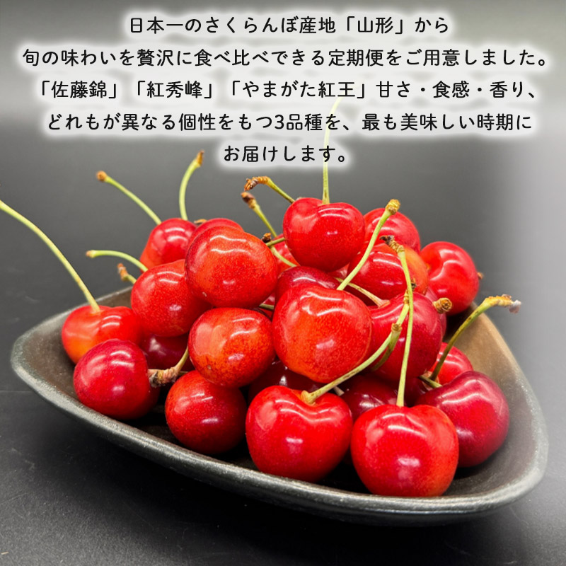 【定期便3回】さくらんぼ味くらべ 山形が誇る3種のさくら