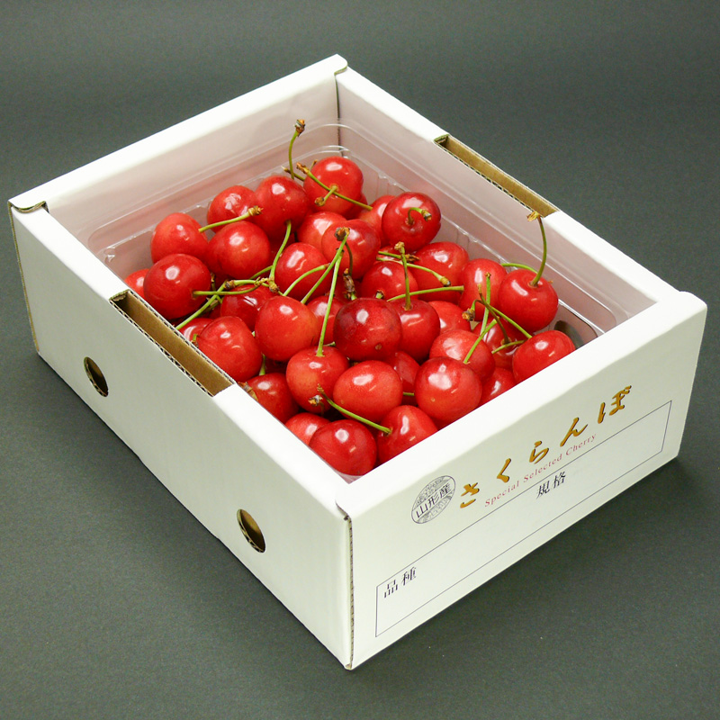 ☆旬☆さくらんぼ 紅秀峰 2Lサイズ 500g バラ 化粧箱詰 【令