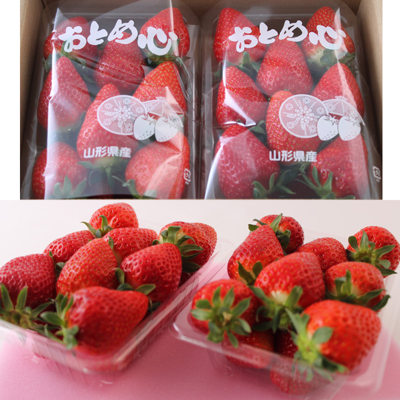 【定期便3回】☆フルーツ王国山形☆『いちご、紅秀峰、シ