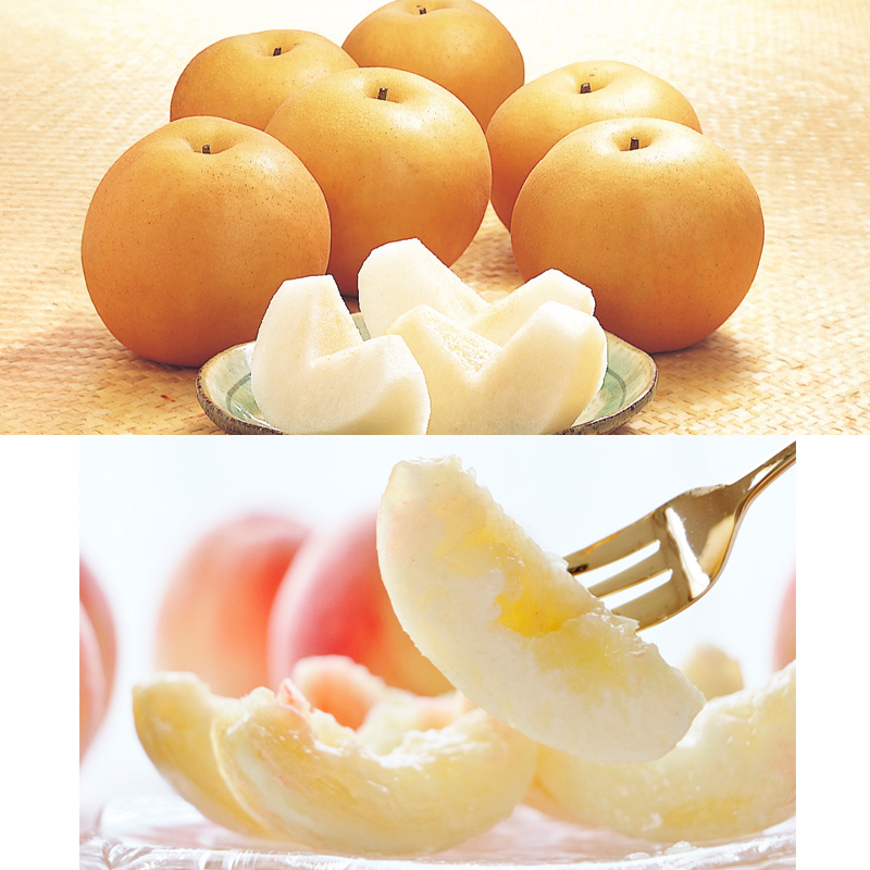 【定期便4回】☆フルーツ王国山形☆『和梨、白桃、ラ・フ