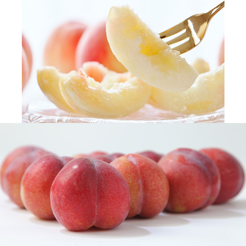 【定期便5回】☆フルーツ王国山形☆『佐藤錦、白桃、すも