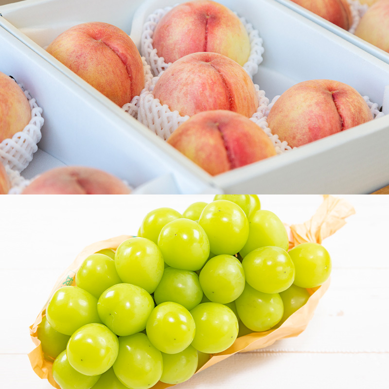 【定期便5回】ノノハナフルーツ 笑顔はなまる食べ切り便  F