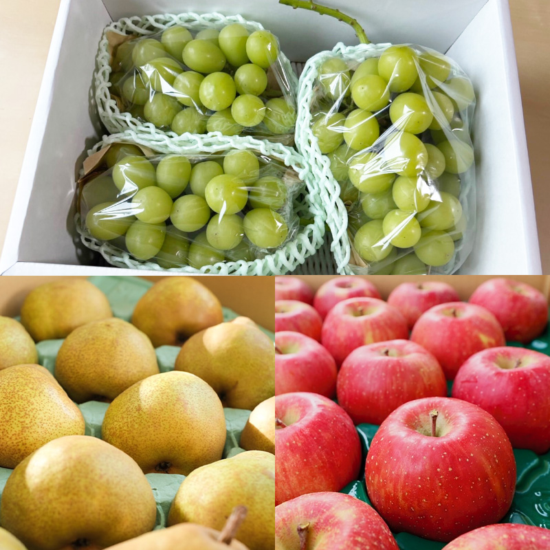 【定期便7回】ノノハナフルーツ 半年まるっと山形のフルー