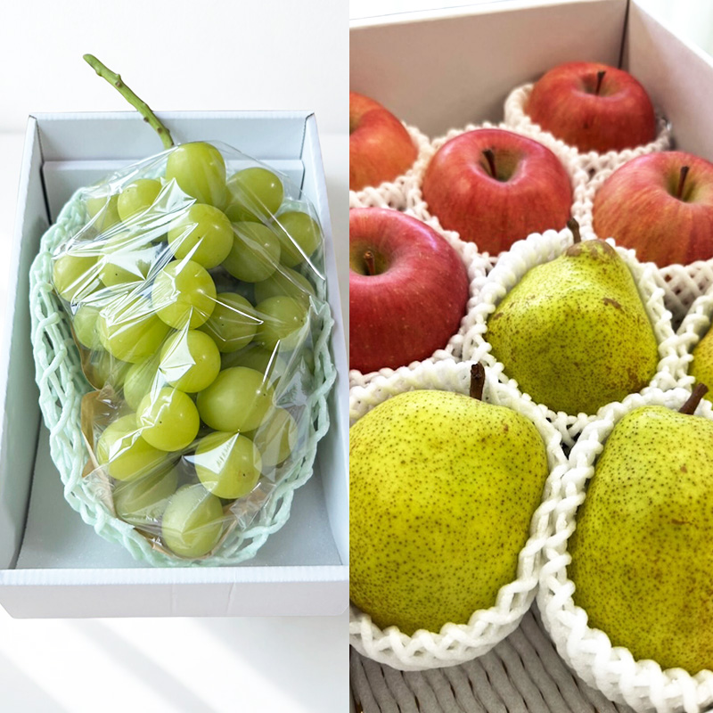 【定期便4回】ノノハナフルーツ 山形市で人気の果物５品種