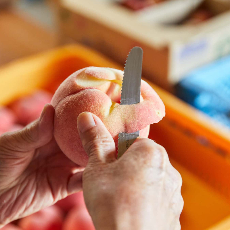 【硬い桃好きの方へ】大人気！かためのパリッと食感！山