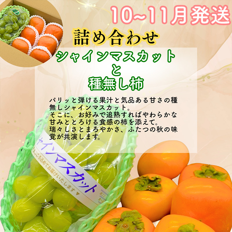 【定期便3回】山形果匠【旬のよりどり定期便】全3回 1回で2