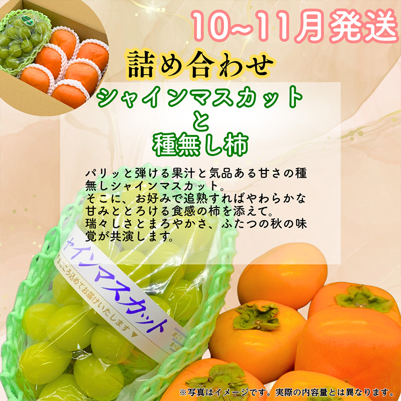 【定期便3回】山形果匠【旬のよりどり定期便】A 全3回 1回