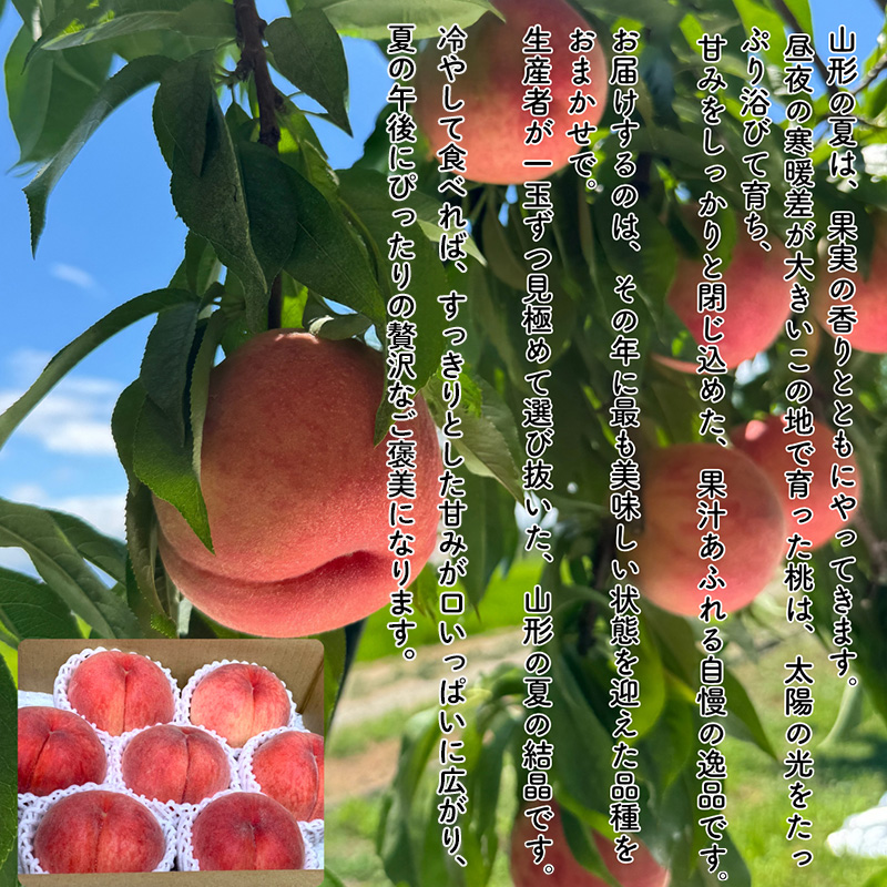 やまがた果実めぐり —白桃と秋姫— 約3kg 秀品【令和8年産