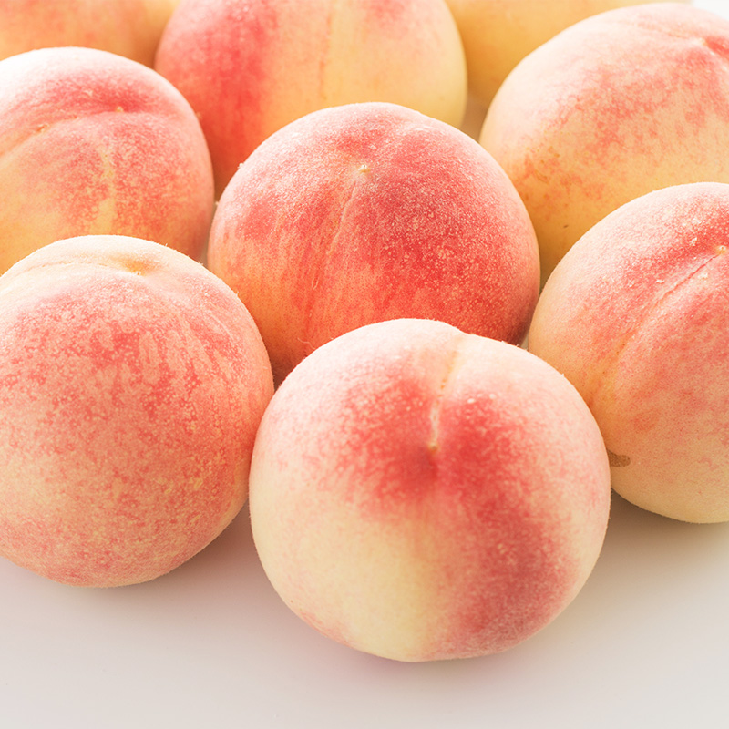 【定期便3回】やまがた旬果実の定期便【令和8年産先行予約