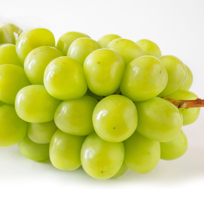 【定期便3回】好きですやまがた！夏から始まる果実のおも