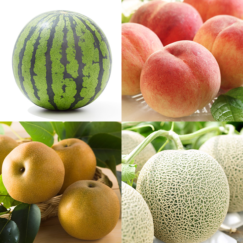 【定期便10回】好きですやまがた まるごと！果実のおもて