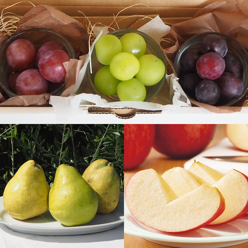 【定期便6回】★食べきりシリーズ★やまもりやまがたプレ