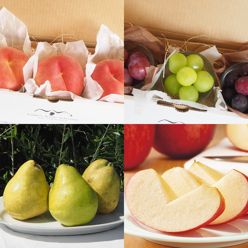 【定期便7回】冬から巡る山形うまい物！贅沢MINIプチ便【令