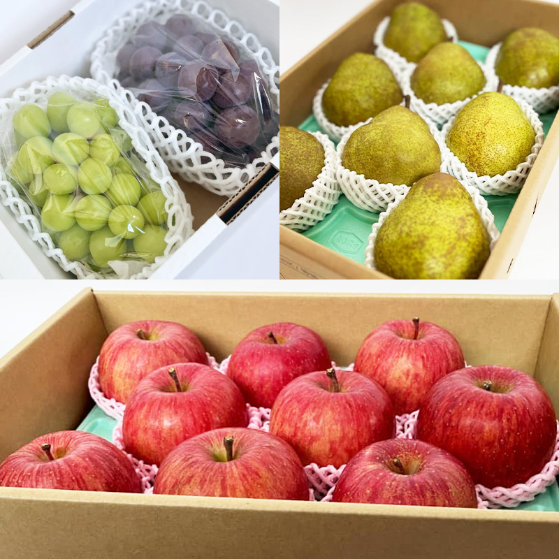 【定期便6回】山形の農家さんが選ぶ！美味しいものスペシ