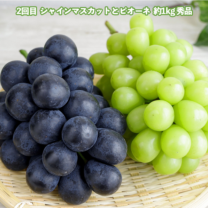 【定期便3回】どれも美味しい 山形フルーツ 贅沢5種便【令