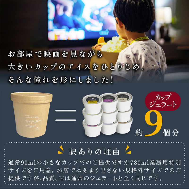 COZAB GELATO 訳あり 大容量 ひとりじめサイズ 6個セット FY25-277