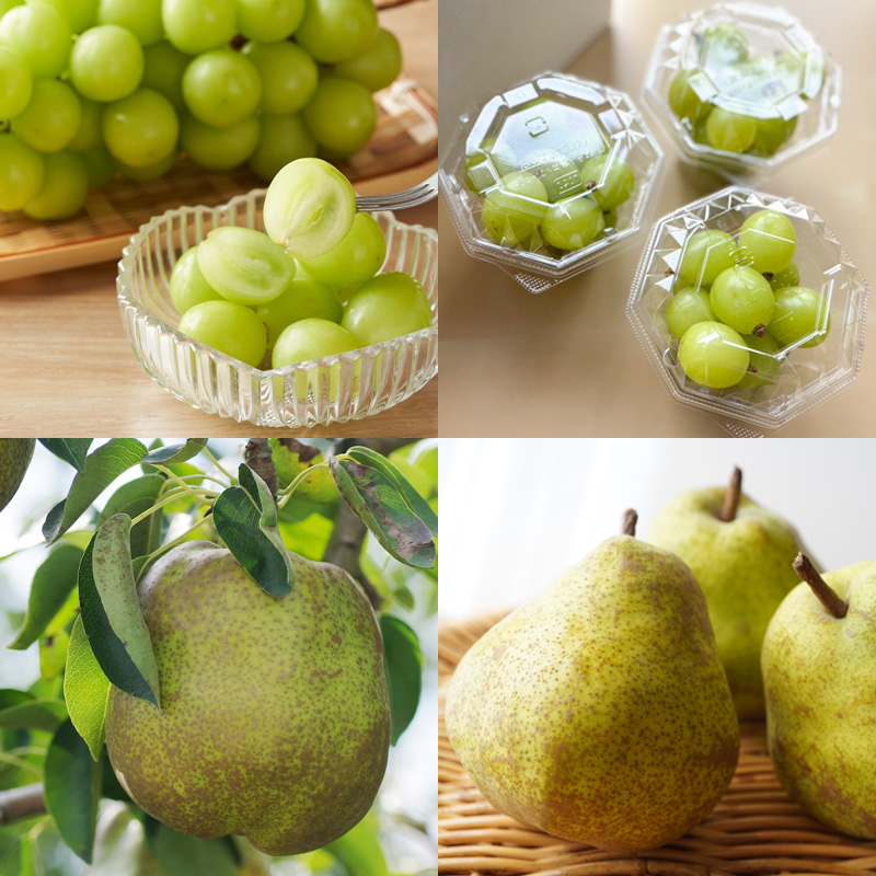 【定期便4回】山形人気フルーツベスト4！ お福分け定期便