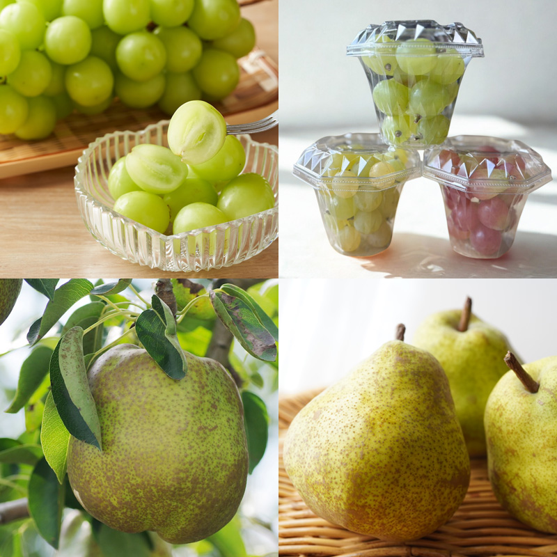 【定期便4回】山形人気フルーツベスト4！ お福分け定期便