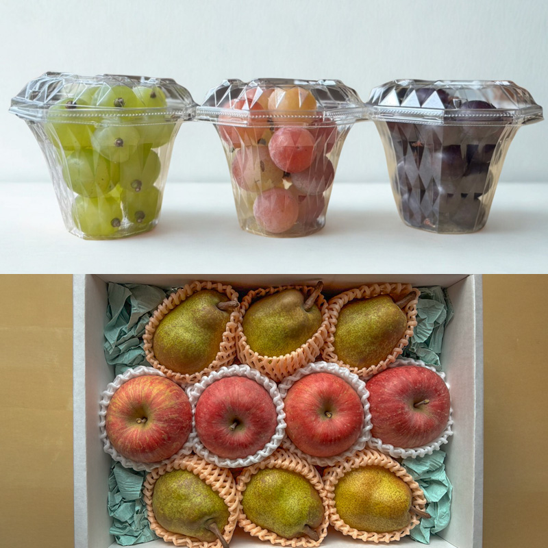 【定期便4回】やまがた美味しい果物 旬便り定期便【令和8