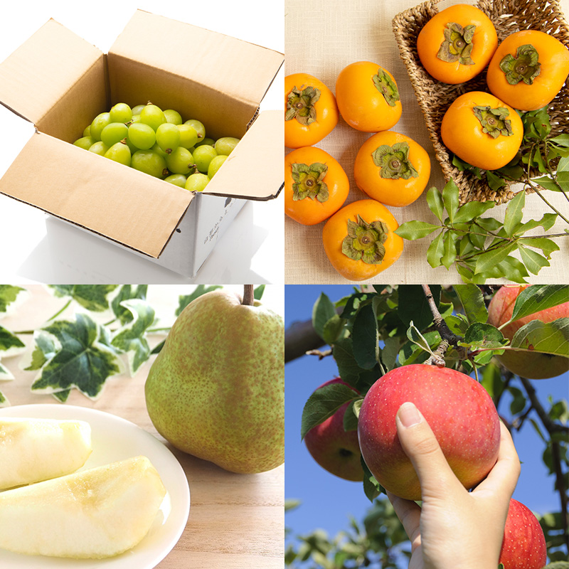 【定期便8回】フルーツちょこっと【令和8年産先行予約】FS2