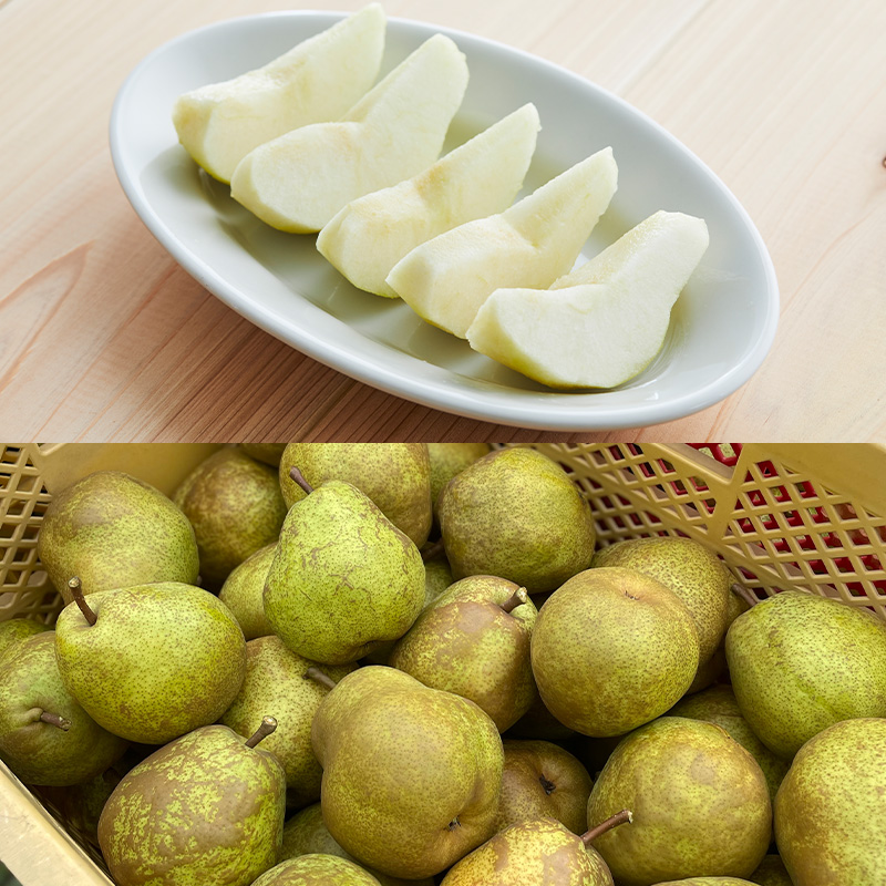 【定期便2回】やまがた洋梨 マリゲットマリーラ＆ラフラン