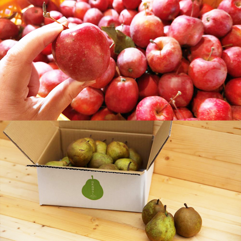 【定期便4回】農家応援!めんこいフルーツ定期便【令和8年